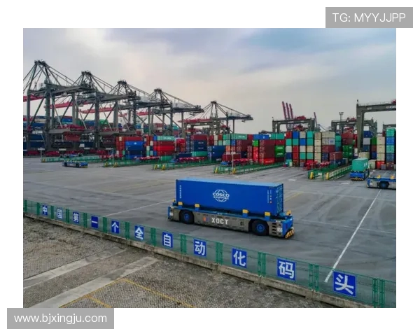 上海海港发展与未来战略探索：推动国际航运中心建设与区域经济协同发展