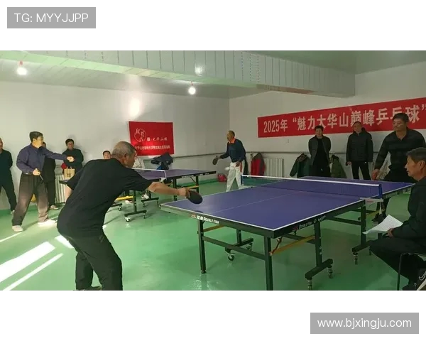 乒乓球运动的魅力与发展探讨从国球精神到世界竞技舞台