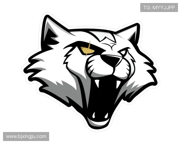 FPX在CSGO比赛中的防守反击策略分析与成效评估