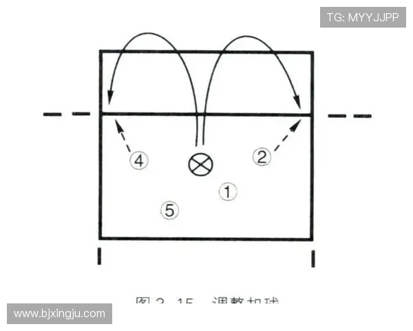 上海排球队防反体系解析与战术创新研究