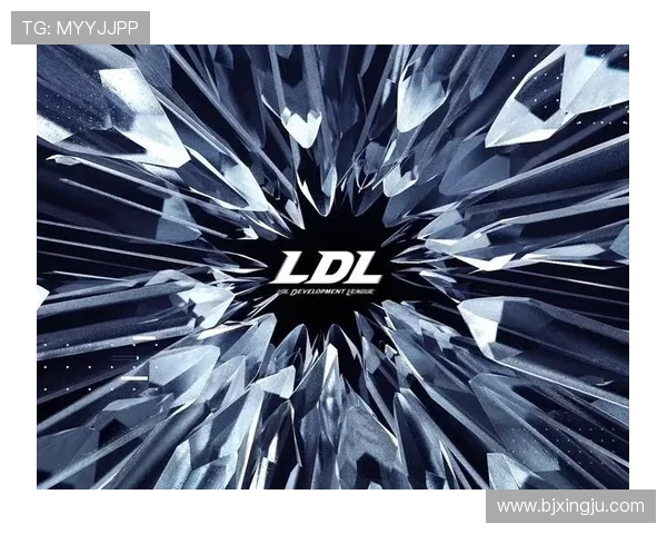 《深入解析英雄联盟职业联赛发展历程与未来趋势》