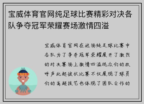 宝威体育官网纯足球比赛精彩对决各队争夺冠军荣耀赛场激情四溢