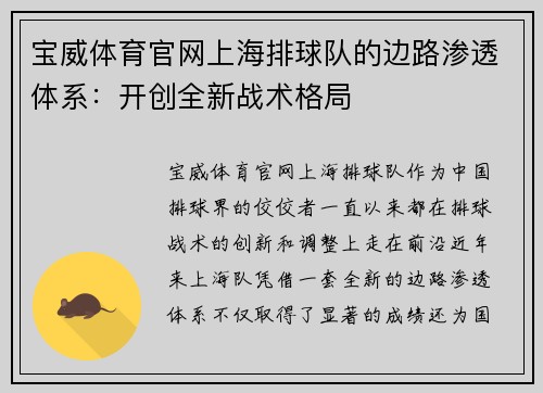 宝威体育官网上海排球队的边路渗透体系：开创全新战术格局